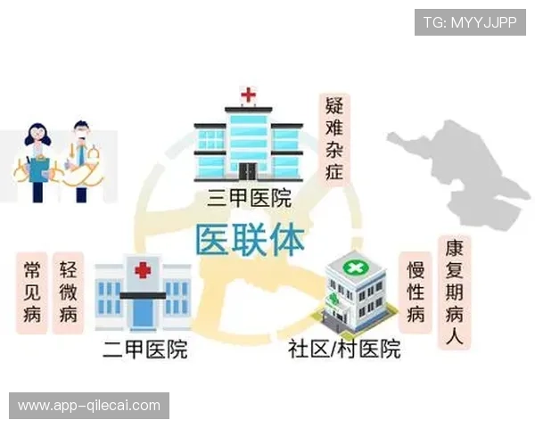 促进地区篮球均衡发展，资源整合推动共同进步与协同发展